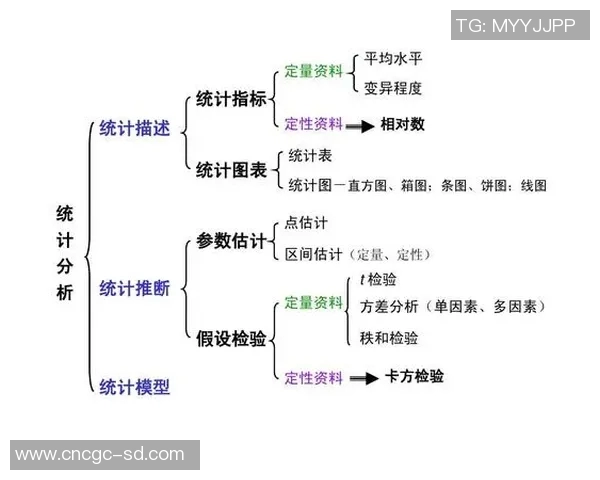 VAR技术统计近五场比赛数据分析与表现总结