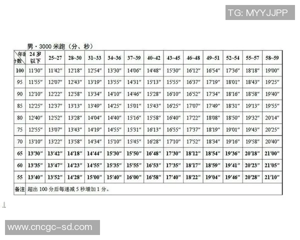 三分王近五场比赛数据全面分析与表现点评
