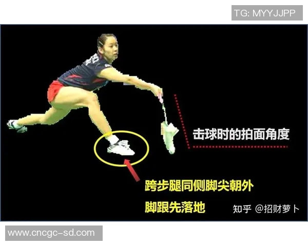 羽毛球赛事技术动作解析与训练方法应用研究 羽毛球赛事技术动作解析与训练方法应用研究