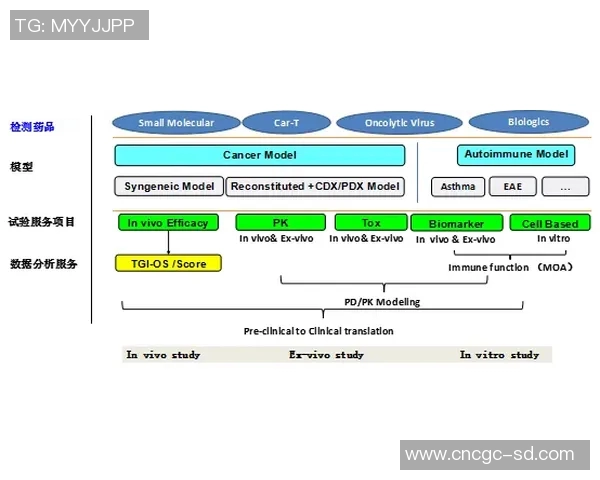 预测：选秀胜率几何？数据模型告诉你答案