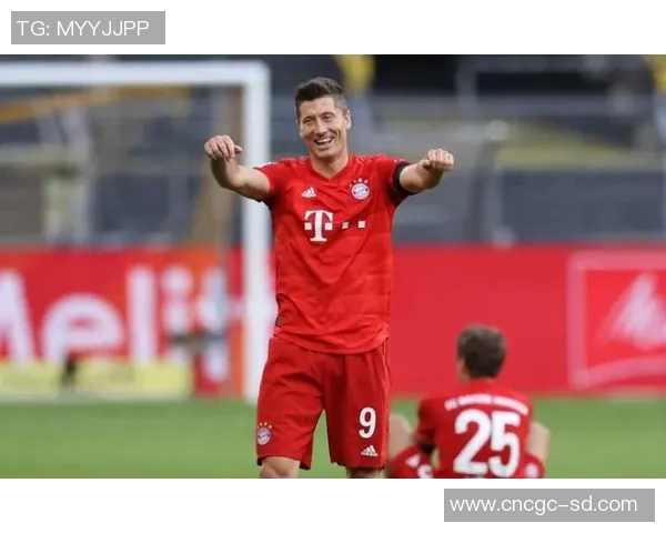 火箭冲击金球奖？数据全面对比分析