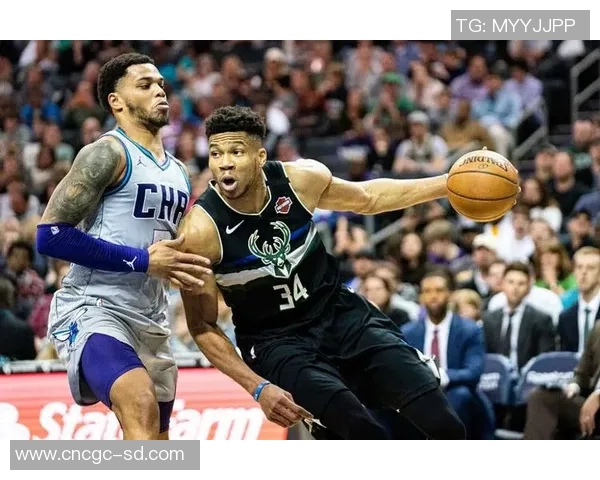 NBA赛季防守效率排行及防守策略创新