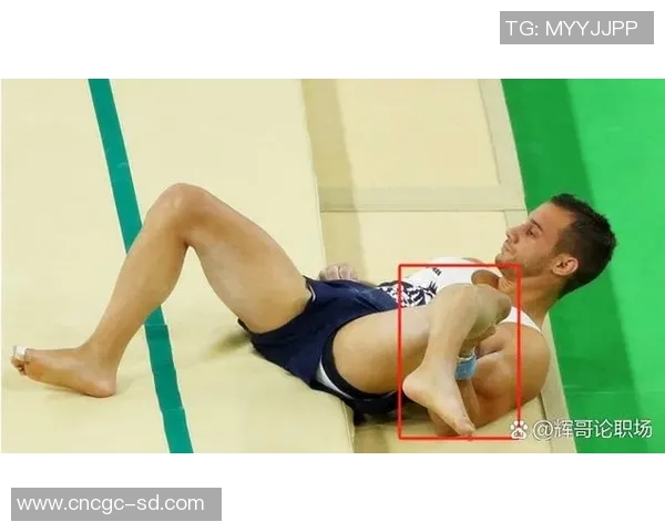 奥运会体操跳马动作难度提升策略及其对竞技表现的影响研究 奥运会体操跳马动作难度提升策略及其对竞技表现的影响研究